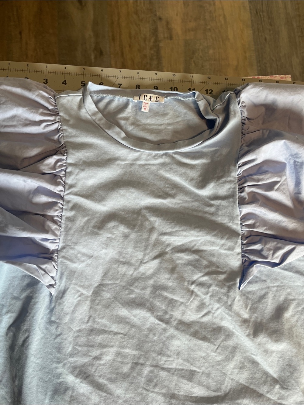 TCEC Puff Sleeve Crewneck dress  in Light baby blue
